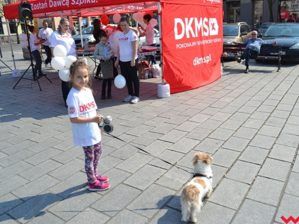 Miłośnicy włoskich aut stylowo promowali akcję rejestracji dawców szpiku