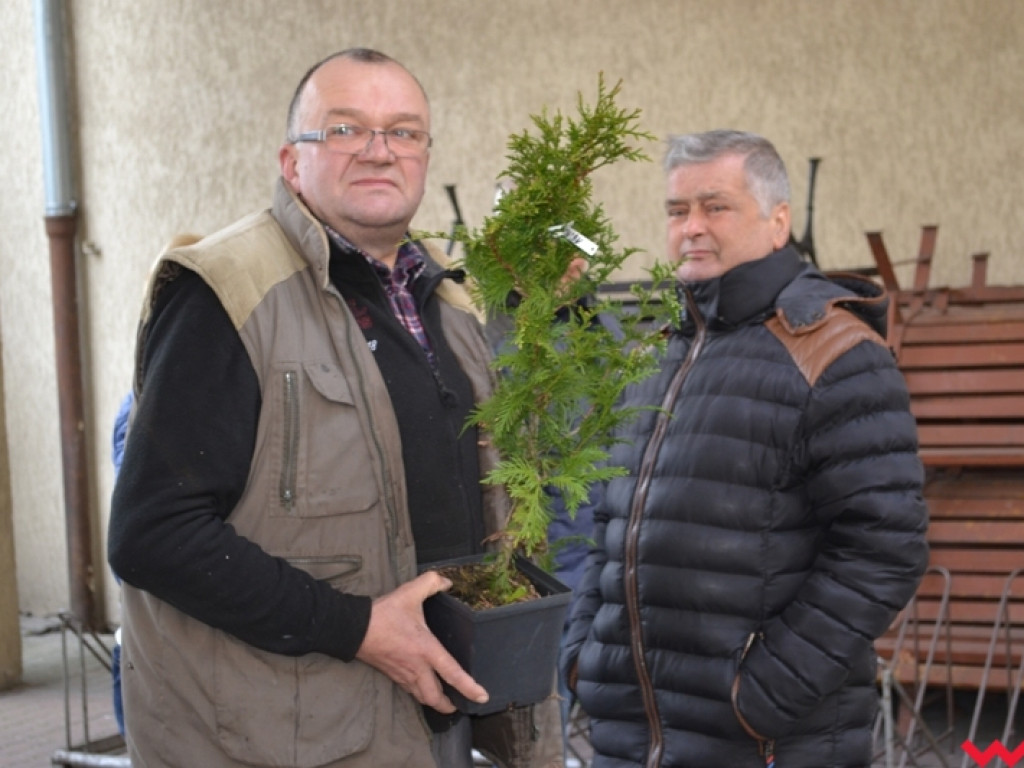 Drzewek ubywało, a góra zepsutych sprzętów rosła –duże zainteresowanie zbiórką elektrośmieci