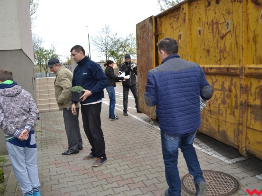 Drzewek ubywało, a góra zepsutych sprzętów rosła –duże zainteresowanie zbiórką elektrośmieci