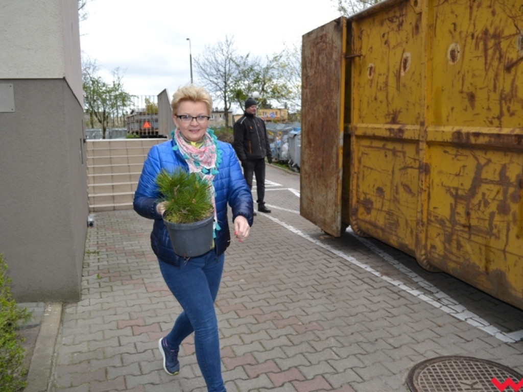Drzewek ubywało, a góra zepsutych sprzętów rosła –duże zainteresowanie zbiórką elektrośmieci