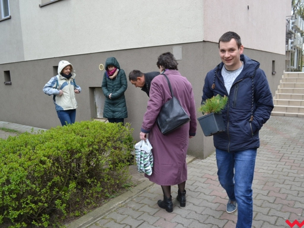 Drzewek ubywało, a góra zepsutych sprzętów rosła –duże zainteresowanie zbiórką elektrośmieci