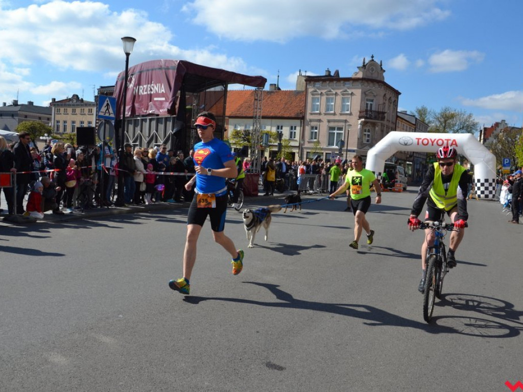 Polacy najlepsi w XXXIV Biegu Kosynierów