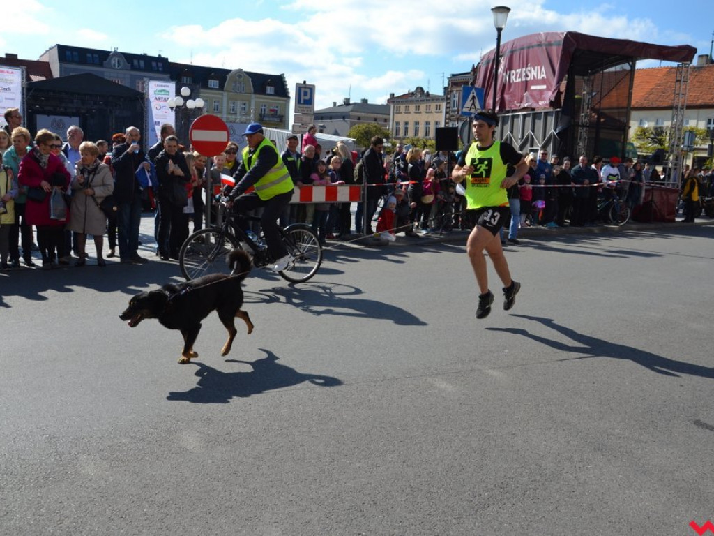 Polacy najlepsi w XXXIV Biegu Kosynierów