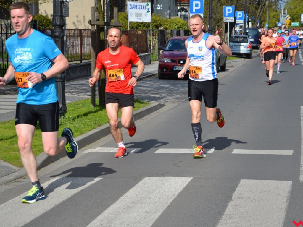 Polacy najlepsi w XXXIV Biegu Kosynierów