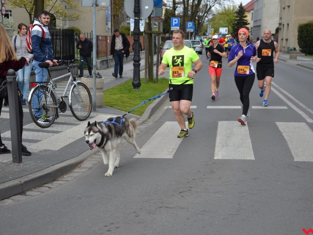 Polacy najlepsi w XXXIV Biegu Kosynierów
