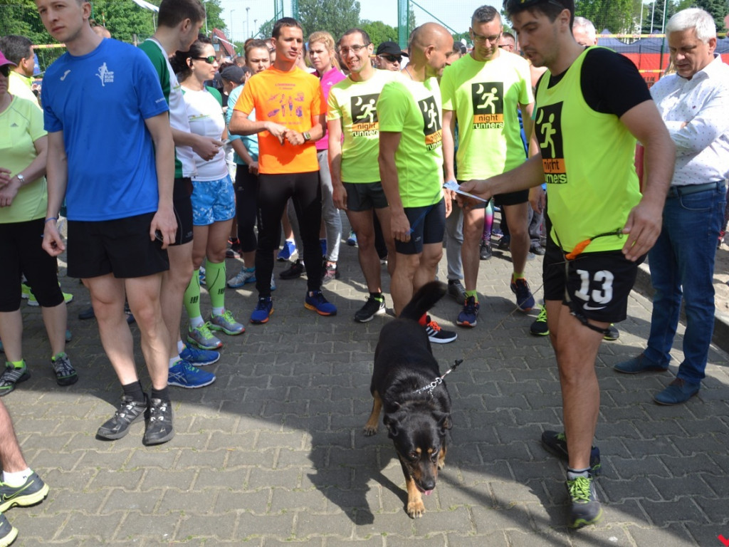 Setki biegaczy na trasie VIII Biegu Rodzinnego