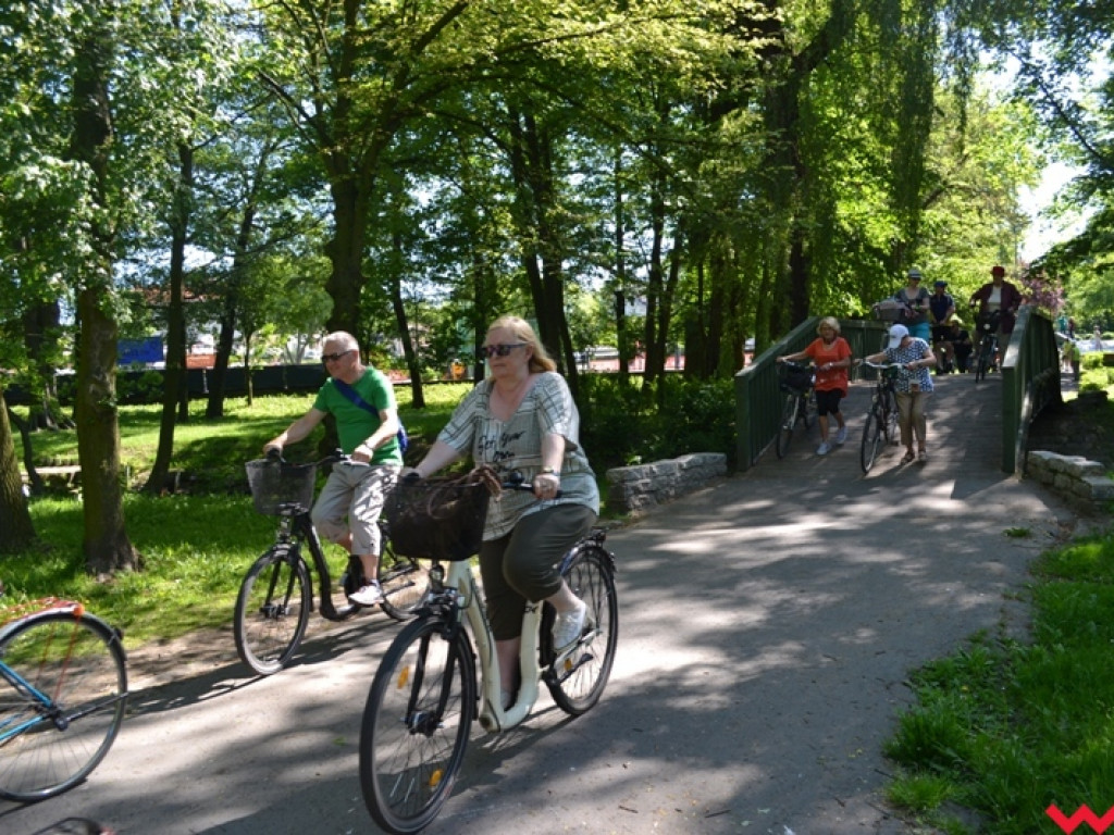 Rowerem i z kijkami - sportowa niedziela seniorów