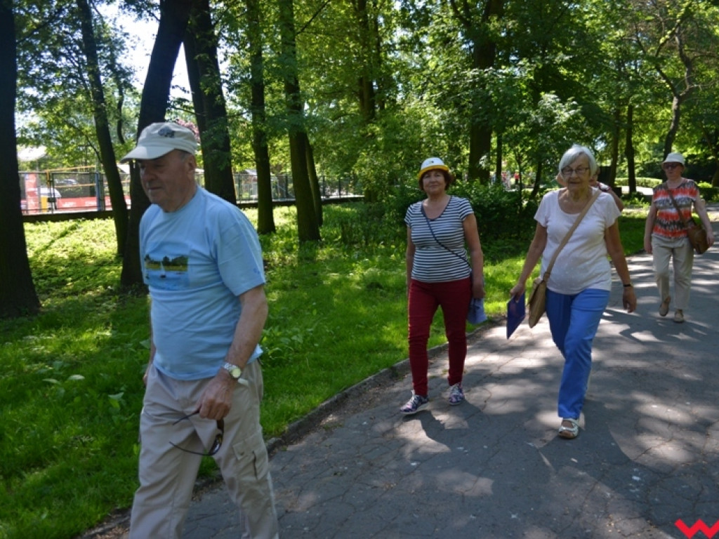 Rowerem i z kijkami - sportowa niedziela seniorów