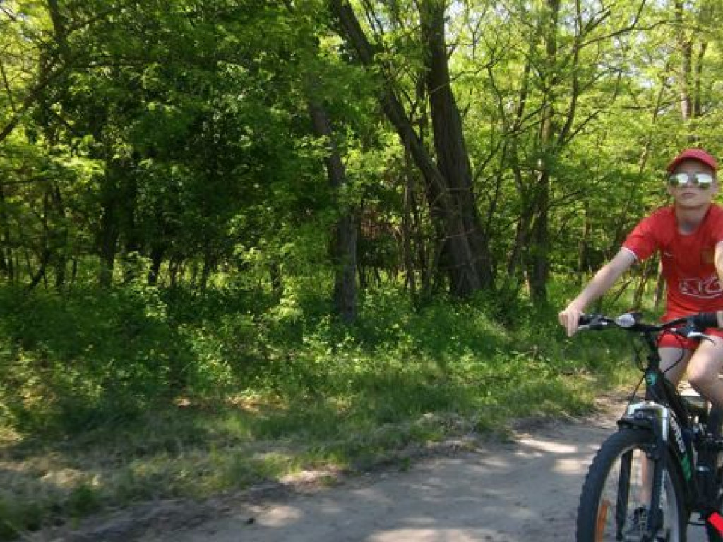 Rowerowa wycieczka połączona z piknikiem