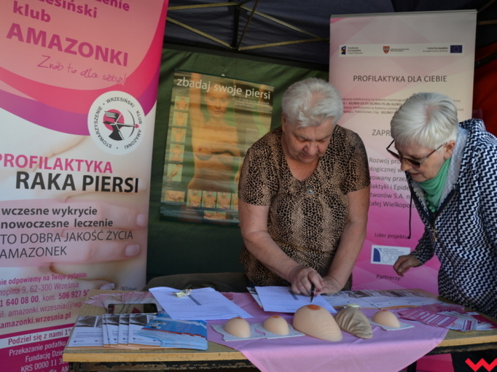 Starostwo chce leczyć, uczyć i bawić. Udany Powiatowy Dzień Zdrowia