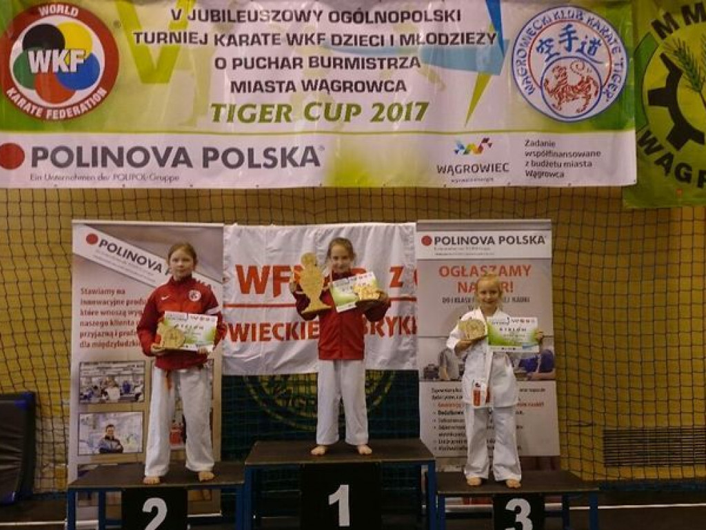 Bardzo aktywny tydzień zawodników Wrzesińskiego Klubu Karate, wrześnianie z medalami przywiezionymi z Pleszewa i Wągrowca (galeria)