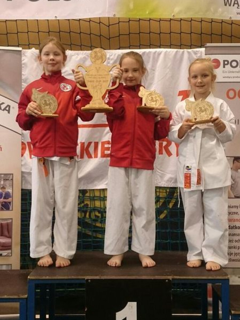 Bardzo aktywny tydzień zawodników Wrzesińskiego Klubu Karate, wrześnianie z medalami przywiezionymi z Pleszewa i Wągrowca (galeria)