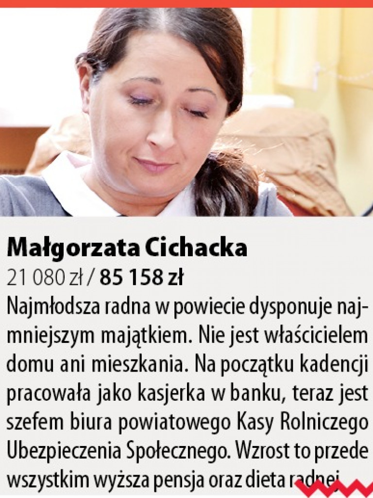 Radni powiatowi – kto ma najwięcej, a kto najmniej, dlaczego najbogatsi są radni rolnicy?
