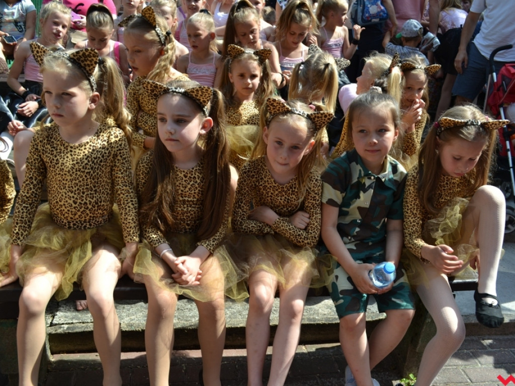 Alchemia zakończyła sezon w amfiteatrze