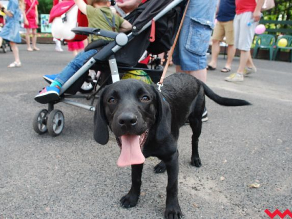Niedziela dla milusińskich w parku im. Dzieci Wrzesińskich