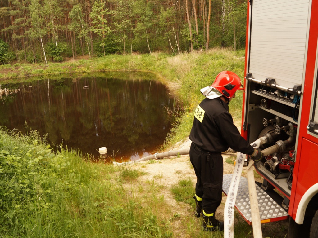 Strażacy uczyli się, jak gasić pożary lasów