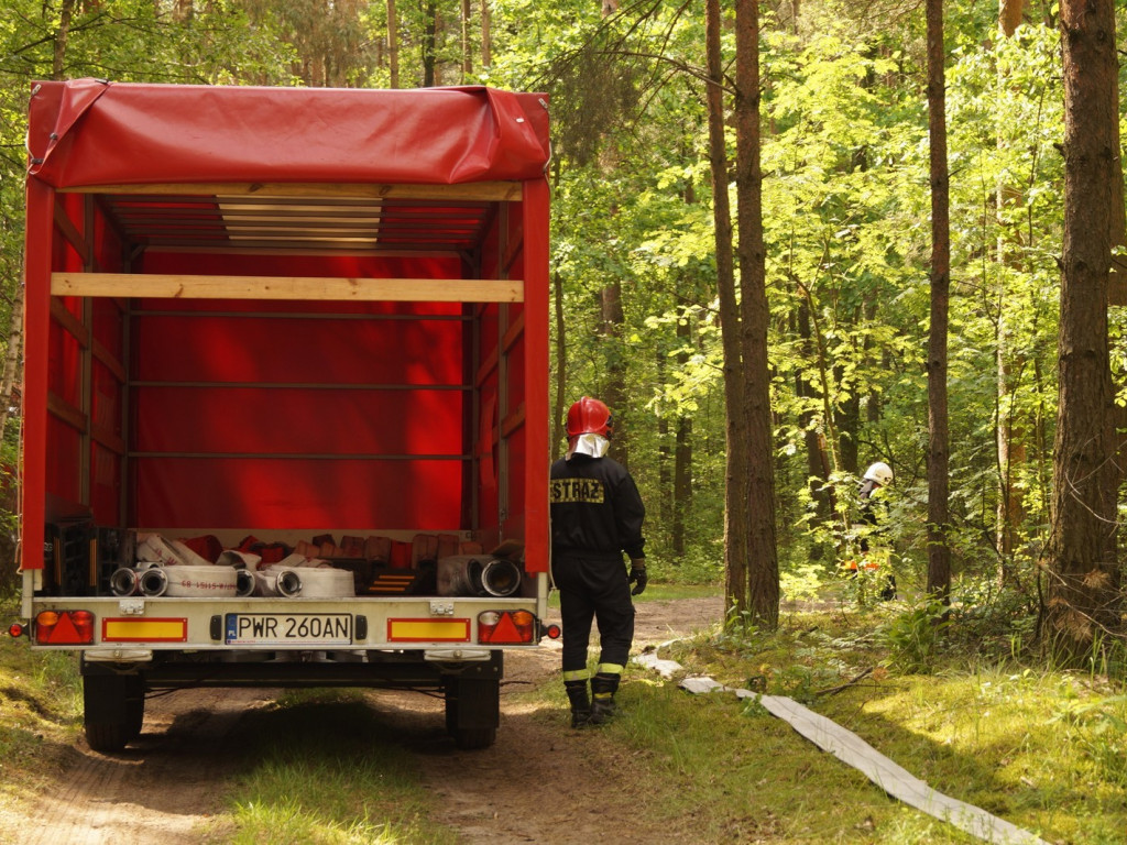 Strażacy uczyli się, jak gasić pożary lasów