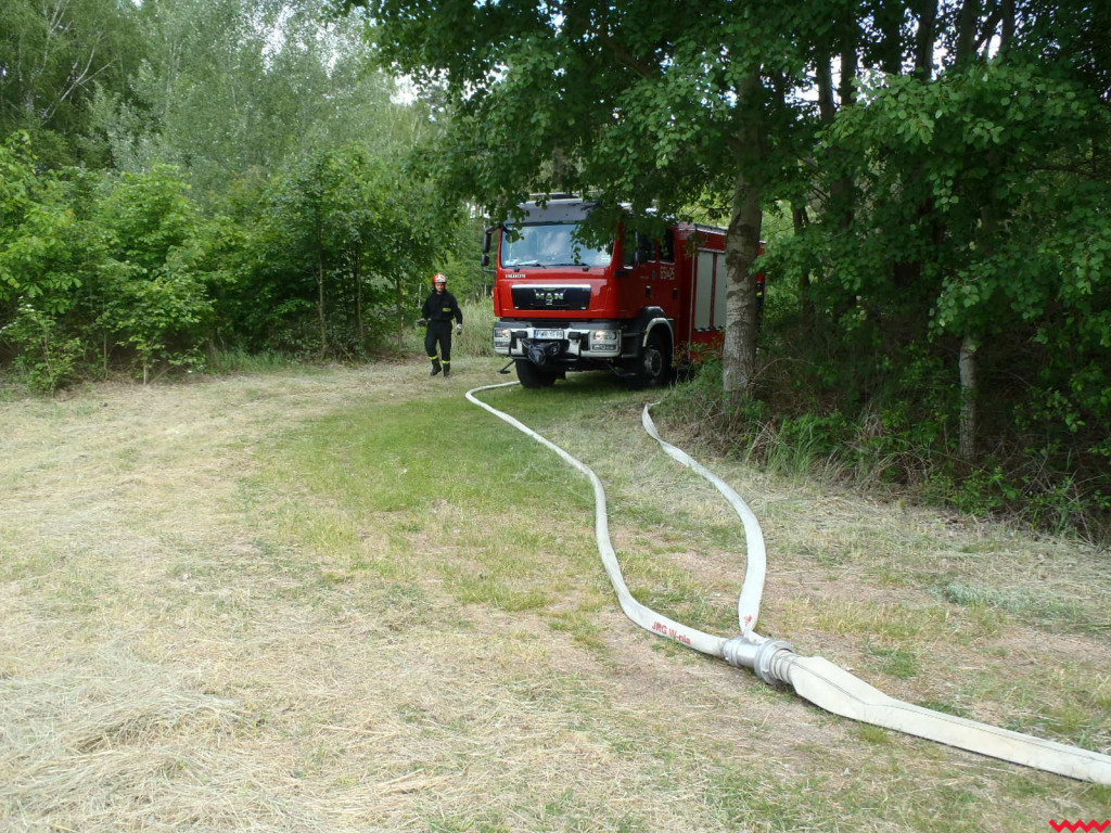Strażacy uczyli się, jak gasić pożary lasów