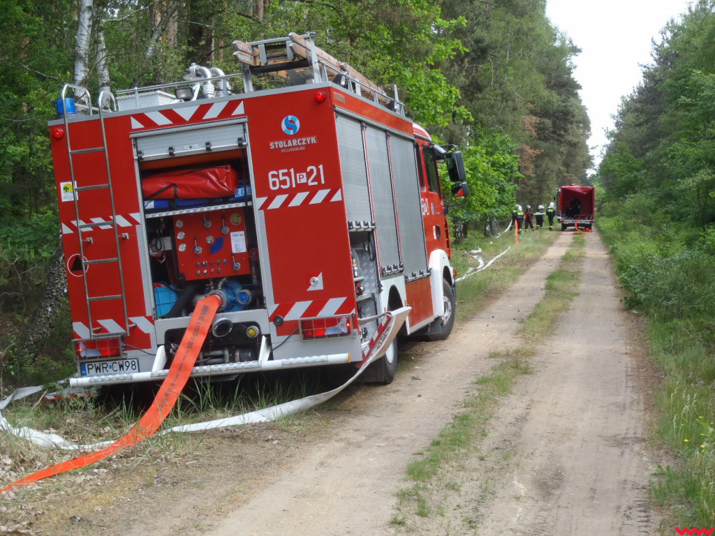 Strażacy uczyli się, jak gasić pożary lasów