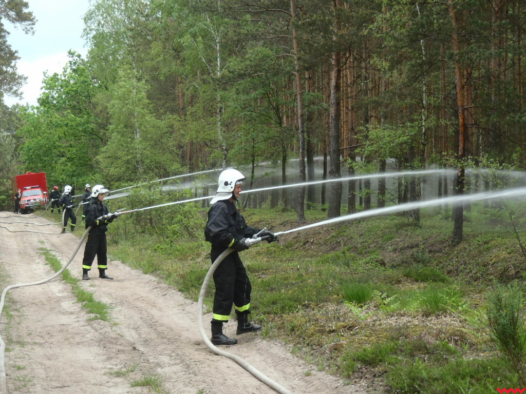 Strażacy uczyli się, jak gasić pożary lasów