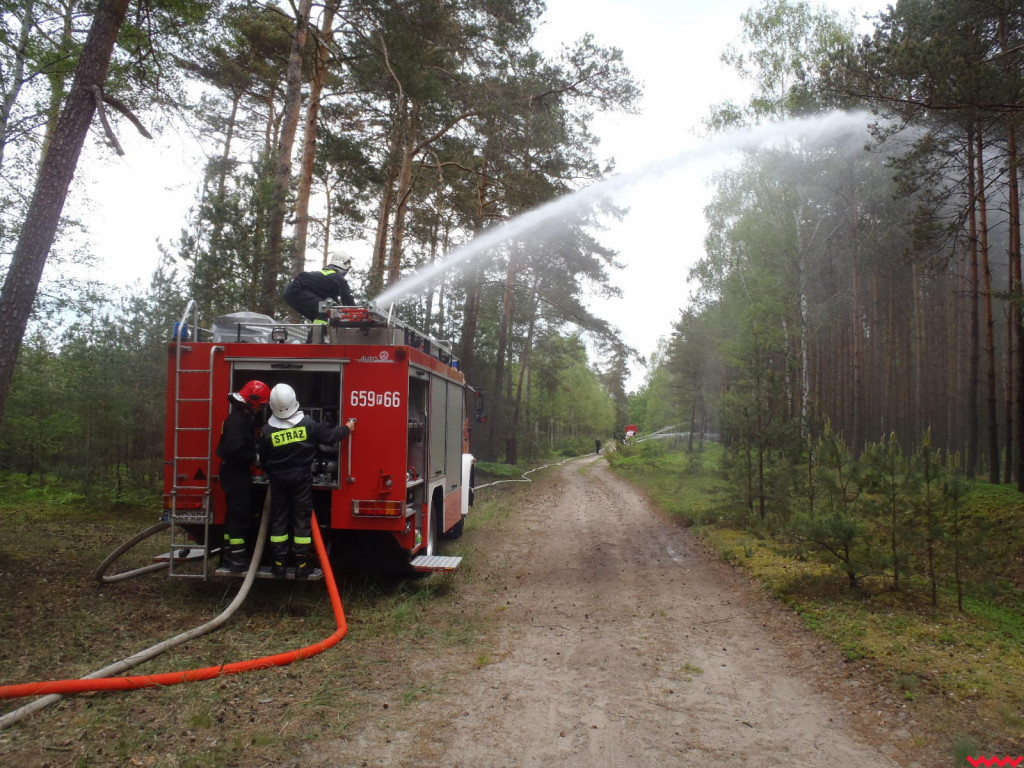 Strażacy uczyli się, jak gasić pożary lasów