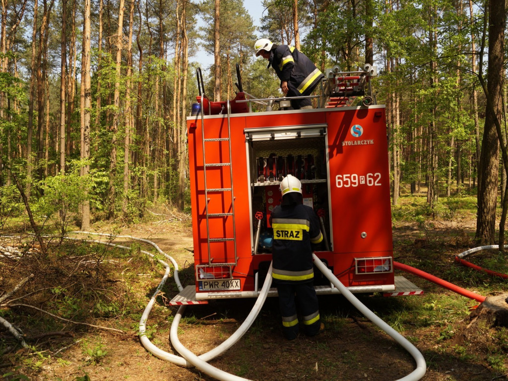 Strażacy uczyli się, jak gasić pożary lasów