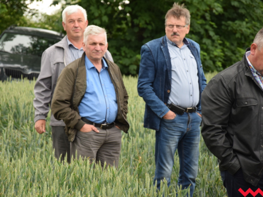 Czerwcowe szkolenie grup producenckich, czyli osiemnaste Dni Pola w Sokolnikach