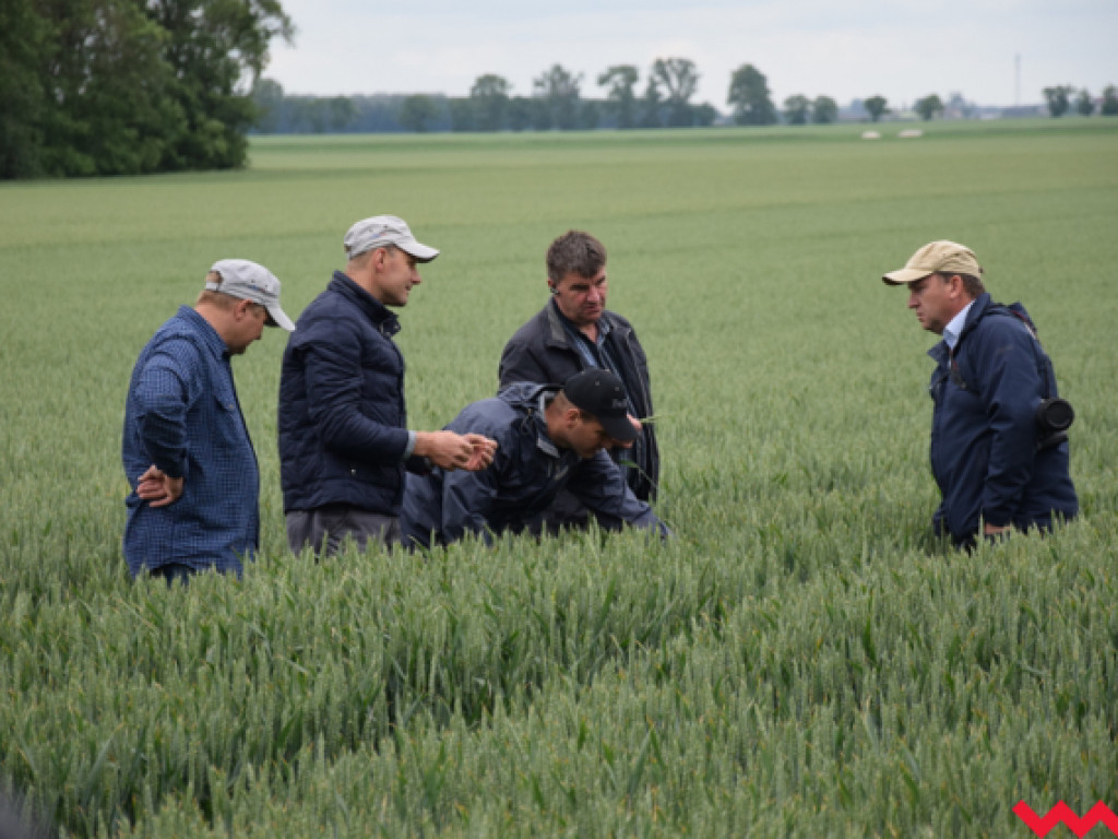 Czerwcowe szkolenie grup producenckich, czyli osiemnaste Dni Pola w Sokolnikach