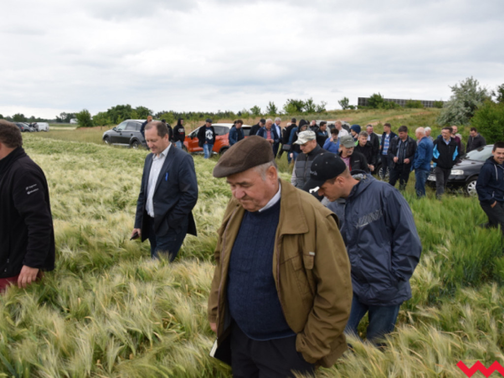 Czerwcowe szkolenie grup producenckich, czyli osiemnaste Dni Pola w Sokolnikach