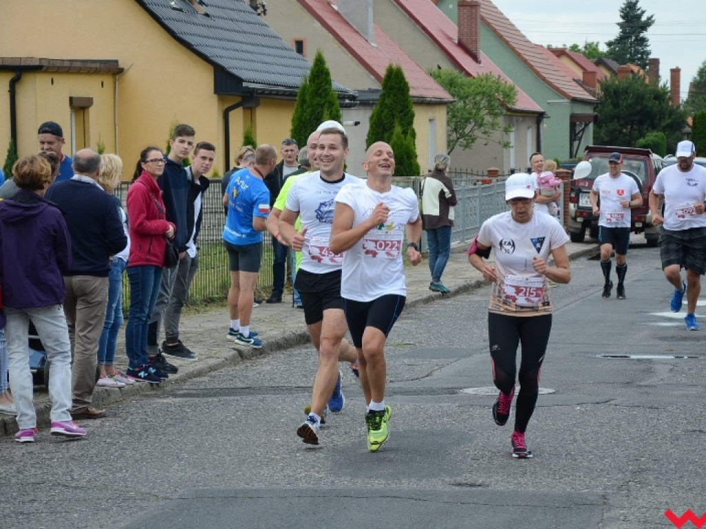 Niebo się zmiłowało i w Nekli z radością biegano do lata
