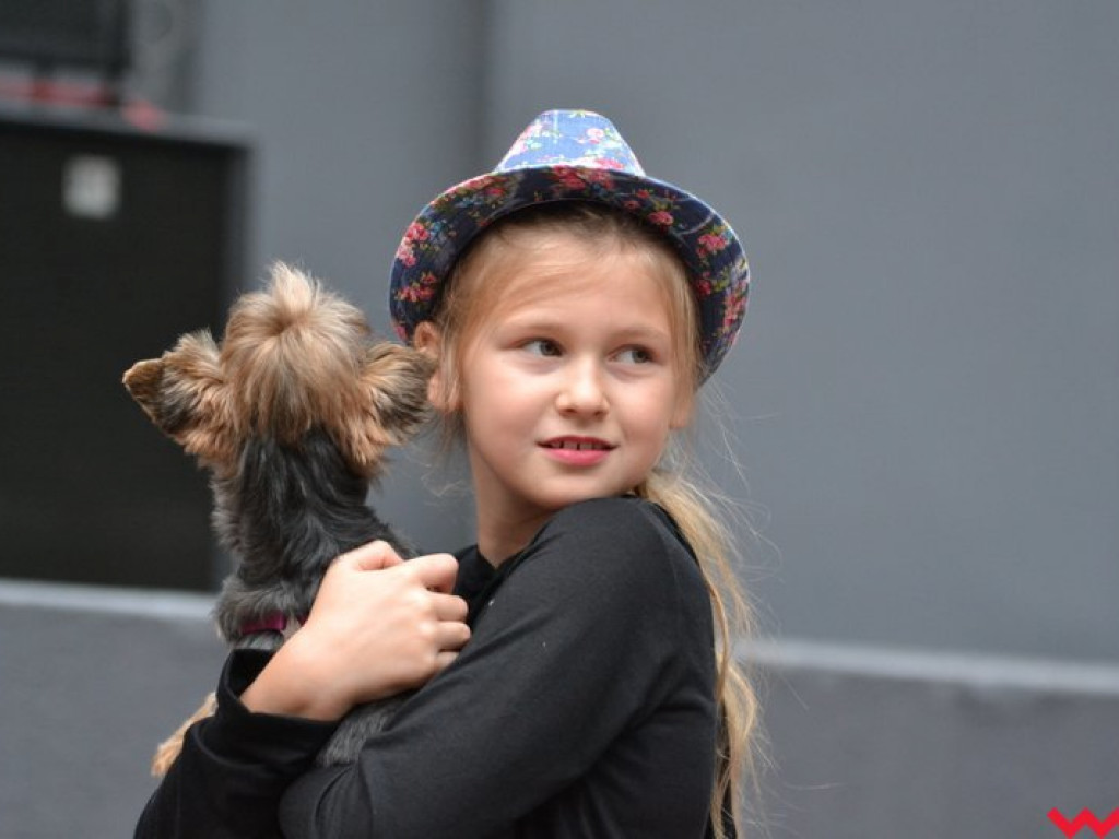 Pełny amfiteatr na finał II Wrzesińskiego Tygodnia Seniorów