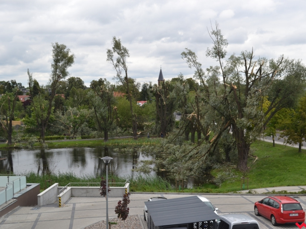 Burza wyrywała drzewa z korzeniami. Zniszczenia są ogromne