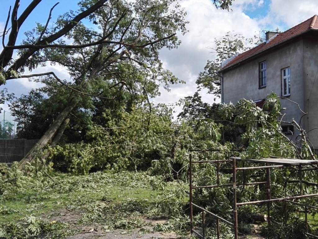 Burza wyrywała drzewa z korzeniami. Zniszczenia są ogromne