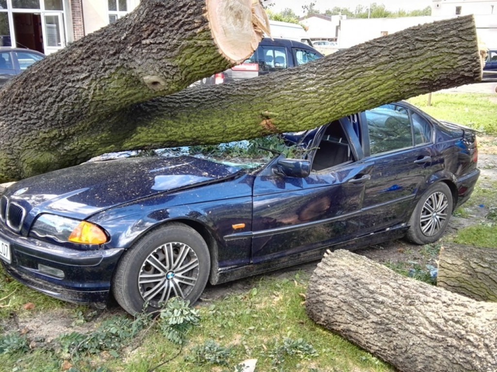 Burza wyrywała drzewa z korzeniami. Zniszczenia są ogromne