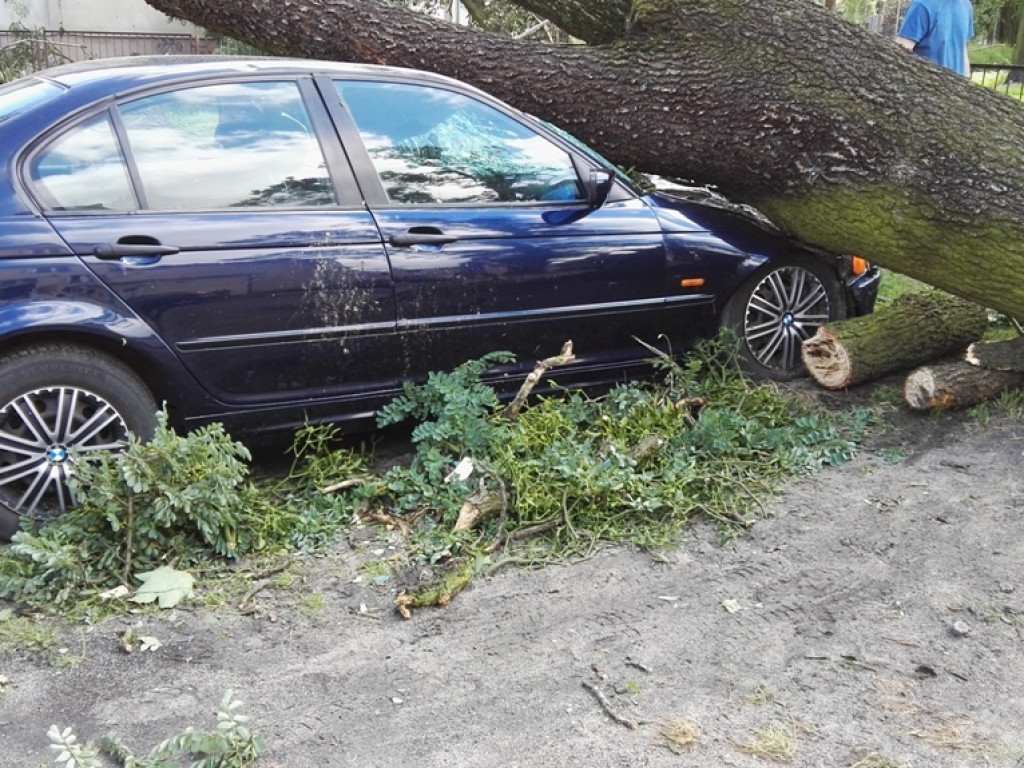 Burza wyrywała drzewa z korzeniami. Zniszczenia są ogromne
