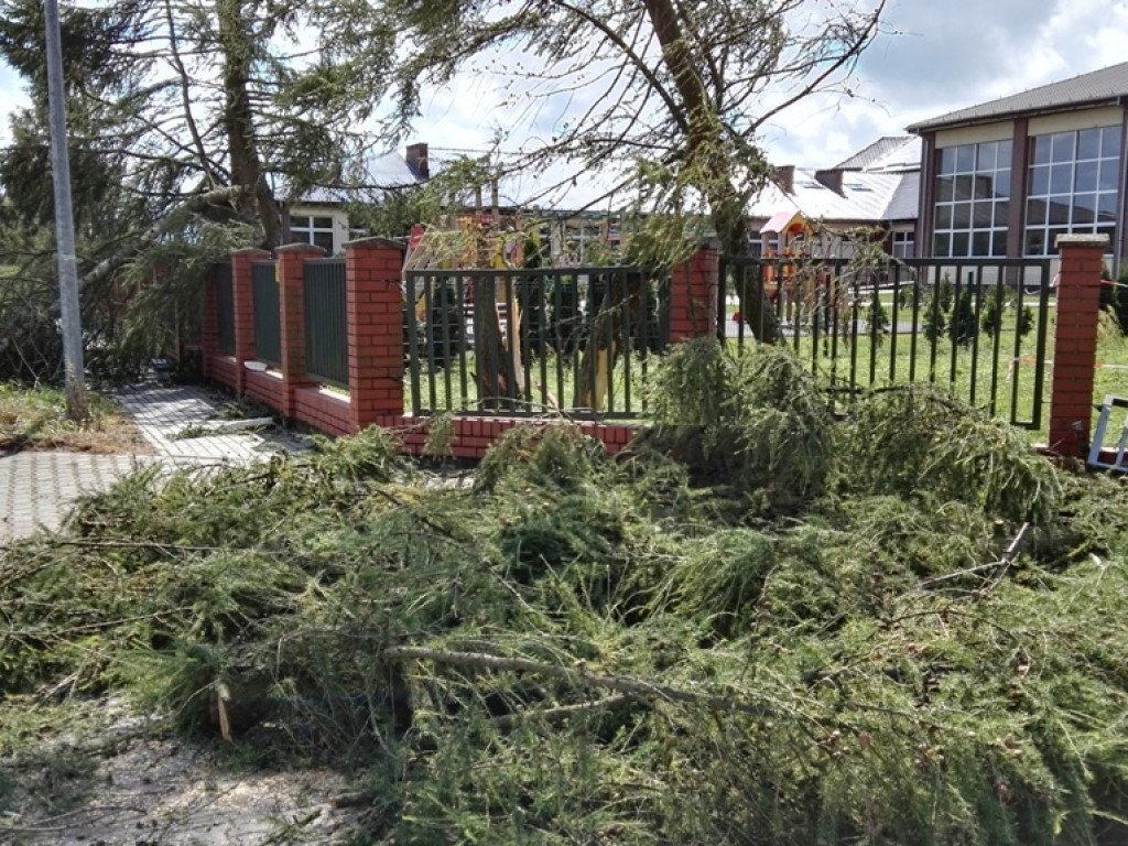 Burza wyrywała drzewa z korzeniami. Zniszczenia są ogromne