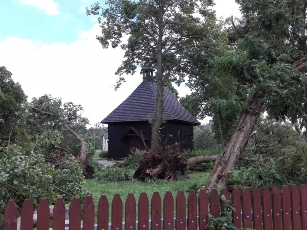 Burza wyrywała drzewa z korzeniami. Zniszczenia są ogromne