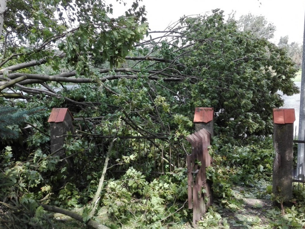 Burza wyrywała drzewa z korzeniami. Zniszczenia są ogromne