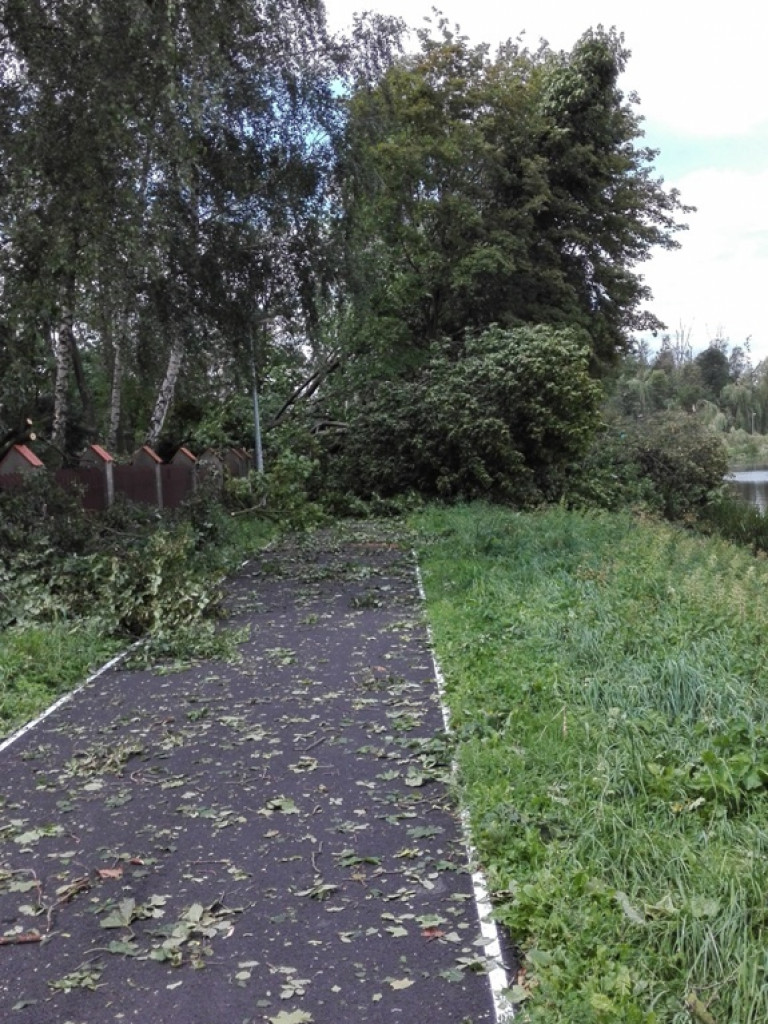 Burza wyrywała drzewa z korzeniami. Zniszczenia są ogromne
