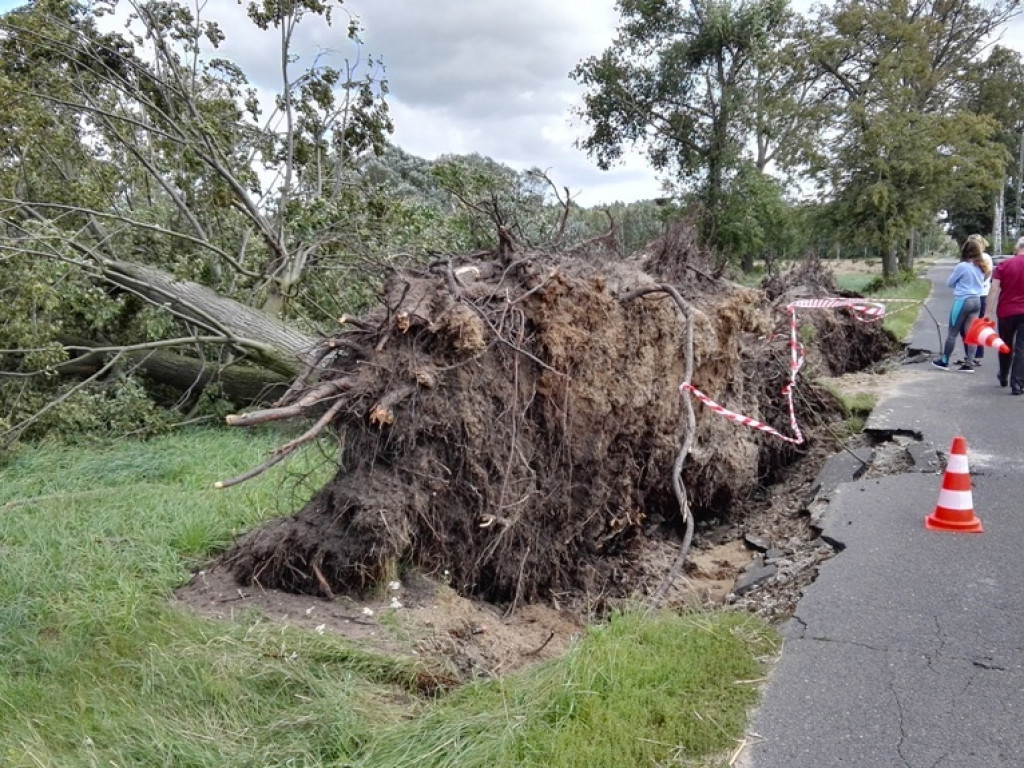 Burza wyrywała drzewa z korzeniami. Zniszczenia są ogromne