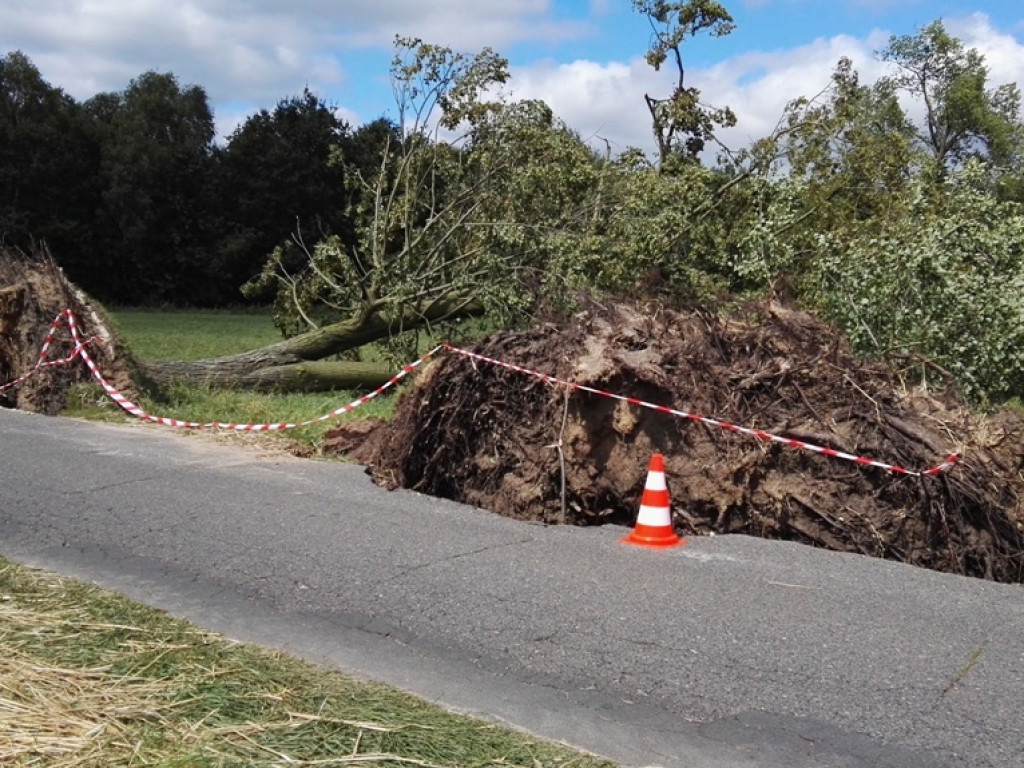 Burza wyrywała drzewa z korzeniami. Zniszczenia są ogromne