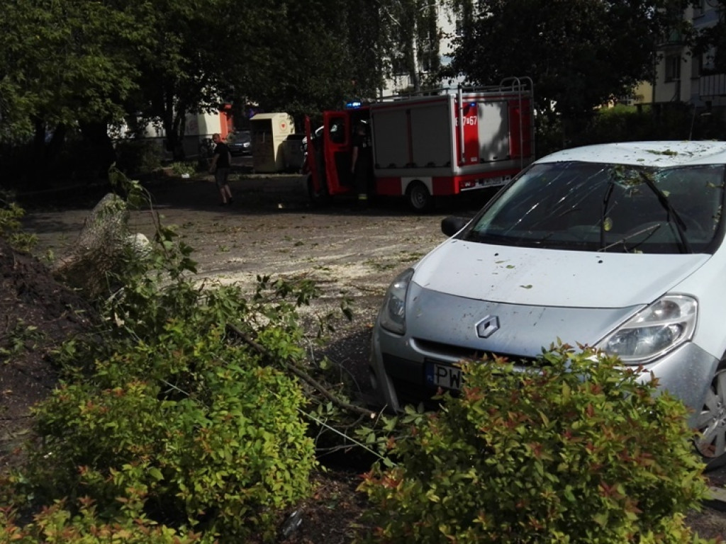 Burza wyrywała drzewa z korzeniami. Zniszczenia są ogromne