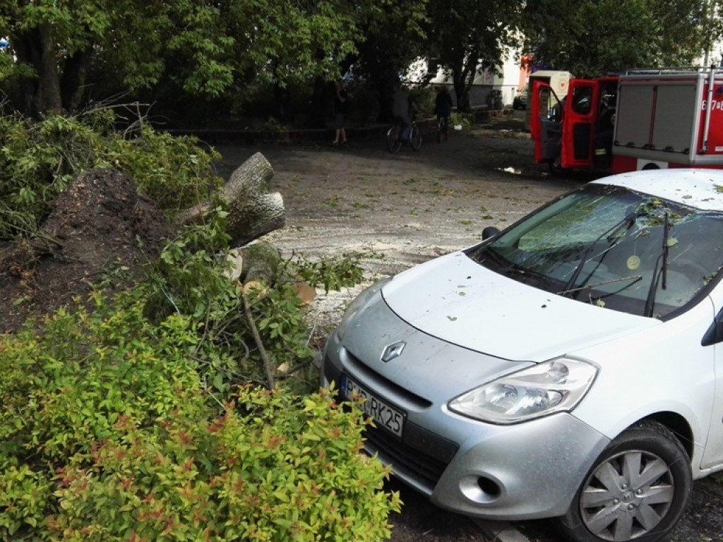 Burza wyrywała drzewa z korzeniami. Zniszczenia są ogromne