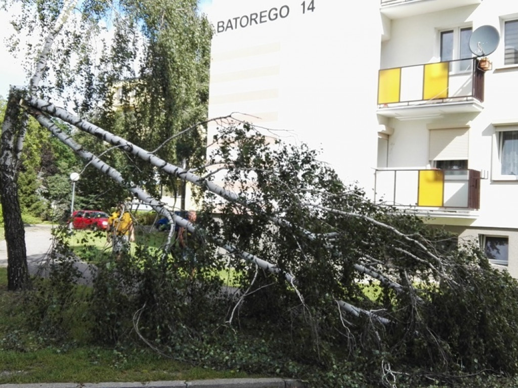 Burza wyrywała drzewa z korzeniami. Zniszczenia są ogromne