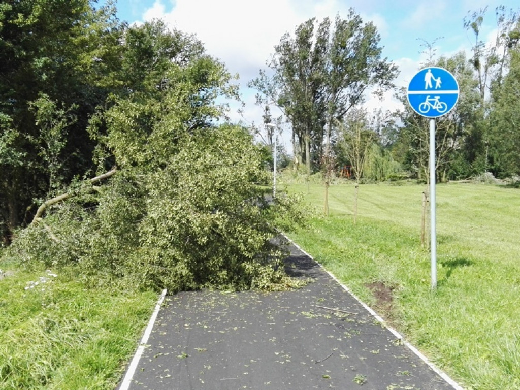 Burza wyrywała drzewa z korzeniami. Zniszczenia są ogromne