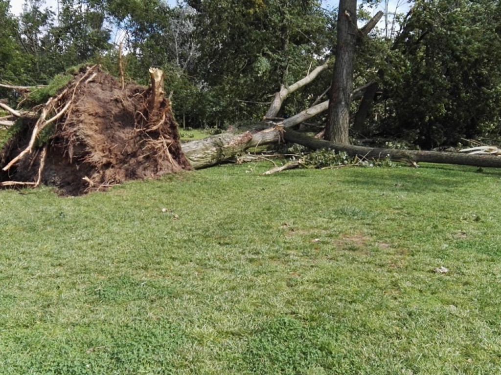 Burza wyrywała drzewa z korzeniami. Zniszczenia są ogromne