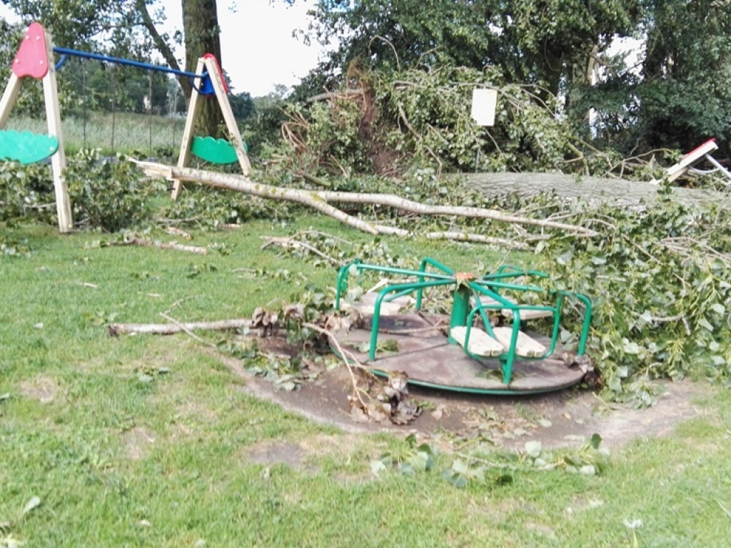 Burza wyrywała drzewa z korzeniami. Zniszczenia są ogromne