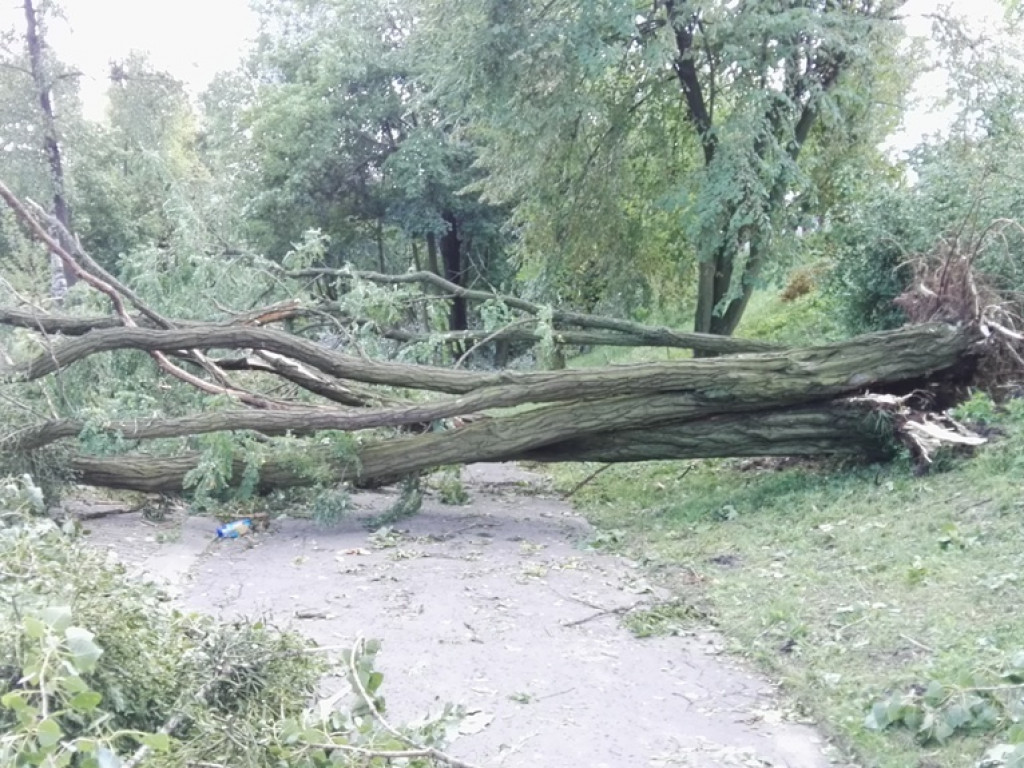 Burza wyrywała drzewa z korzeniami. Zniszczenia są ogromne