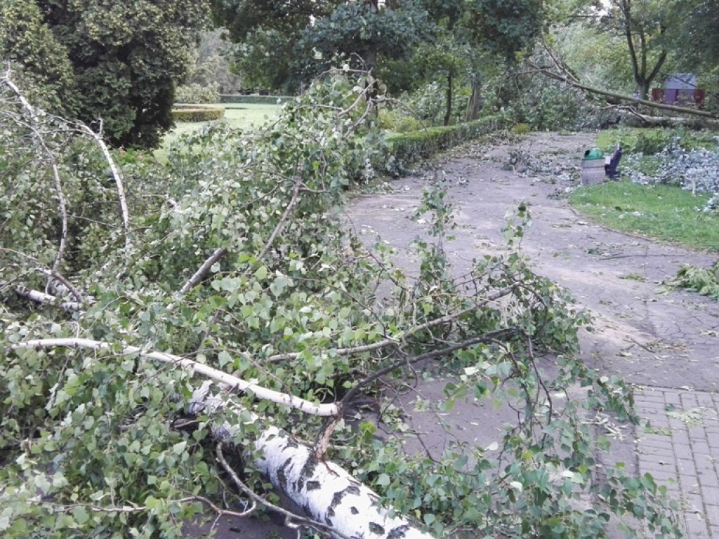 Burza wyrywała drzewa z korzeniami. Zniszczenia są ogromne