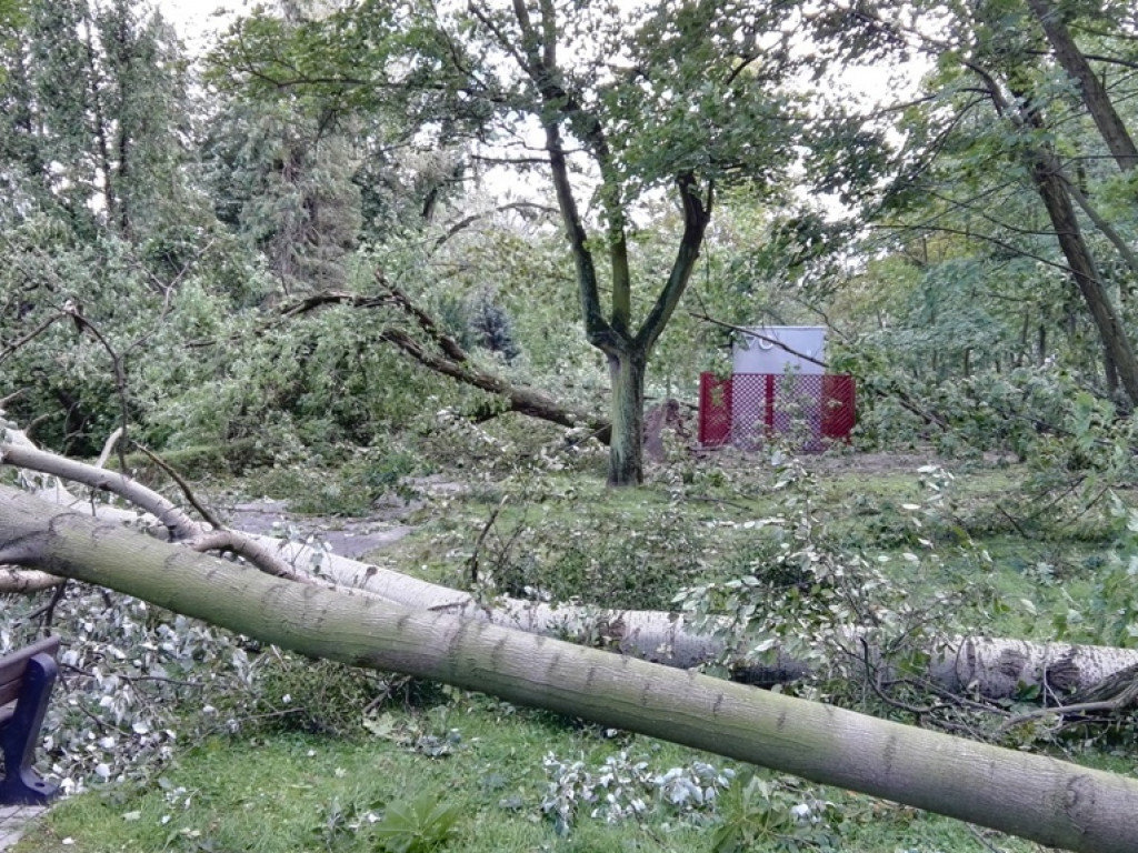 Burza wyrywała drzewa z korzeniami. Zniszczenia są ogromne